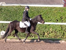 IMG_6995_web
